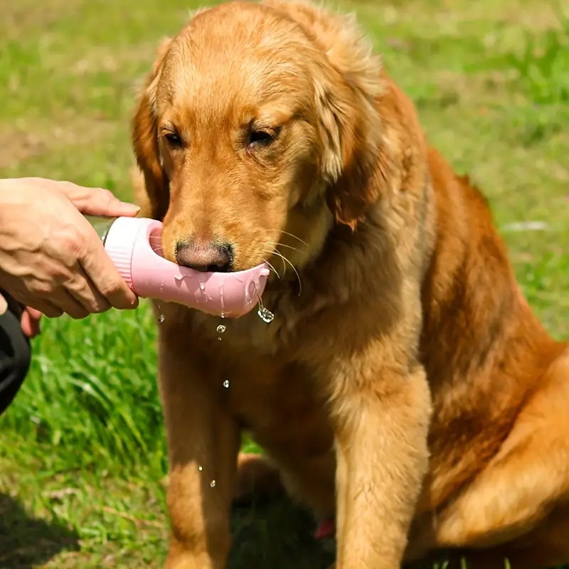 Portable Dog Water Bottle